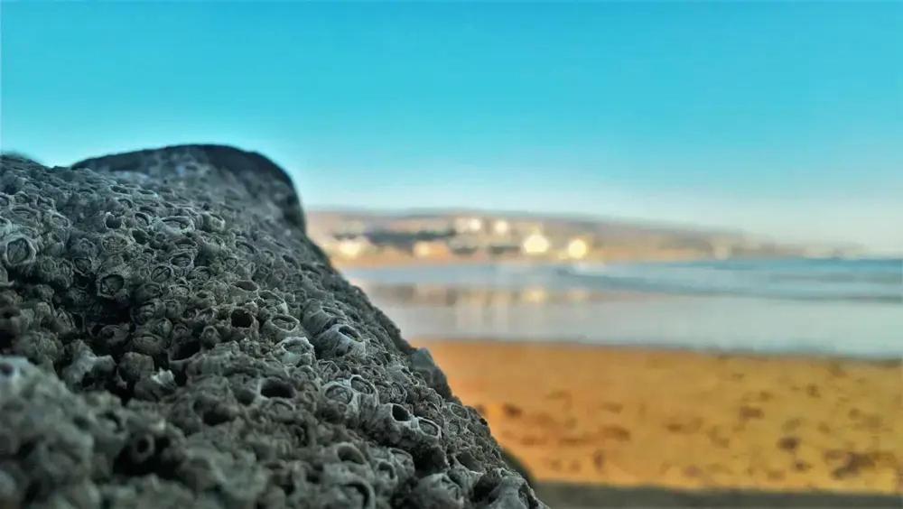 Baya House Sea View Apartment Agadir Bagian luar foto